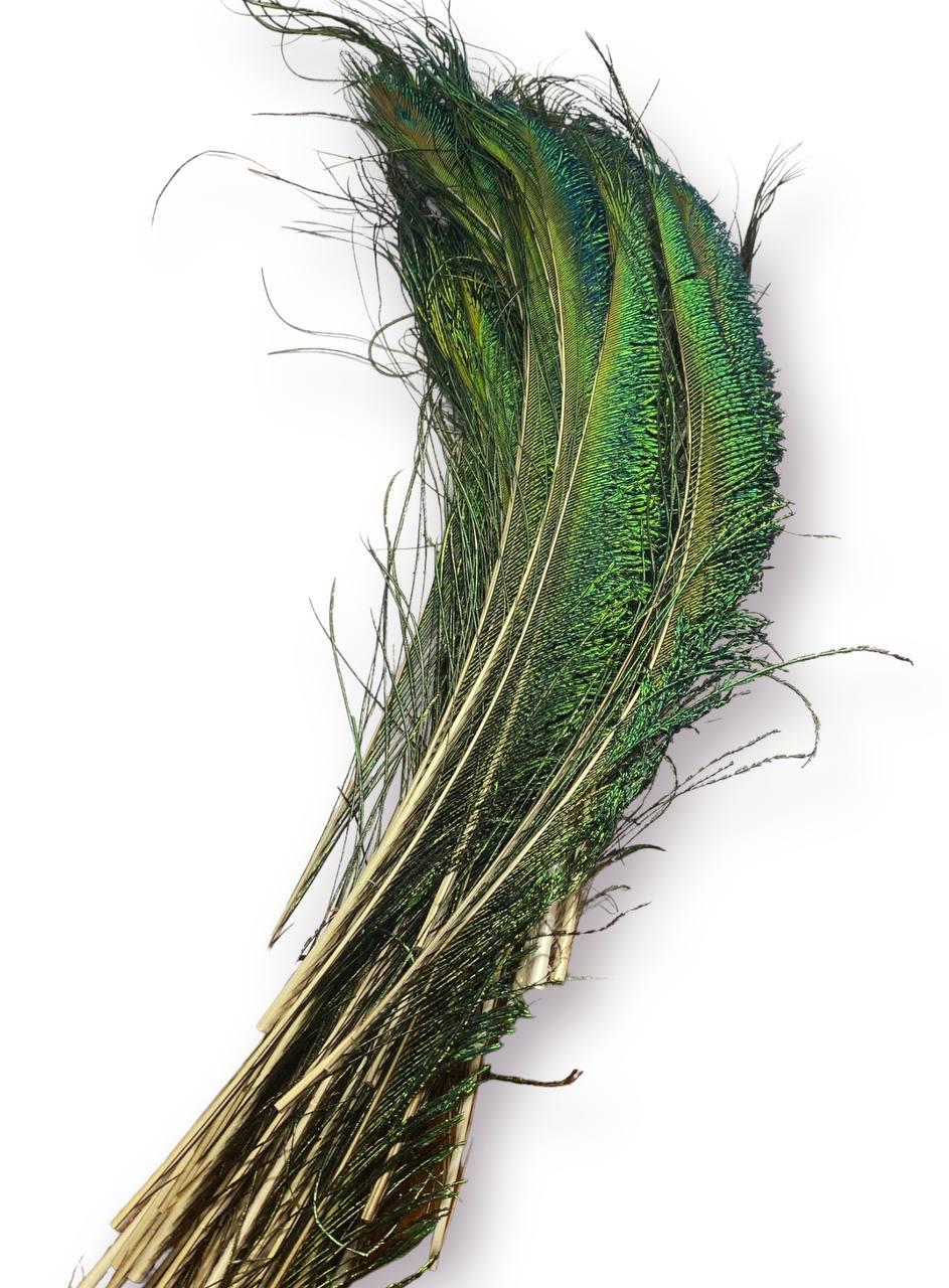 Пір'я меч павича 25-30 cm 1 шт.